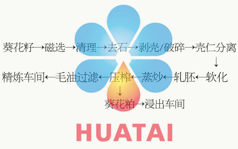 葵花籽預(yù)處理工藝