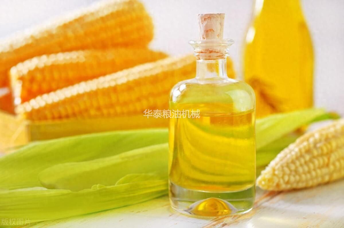 玉米油如何通過浸出設(shè)備提取