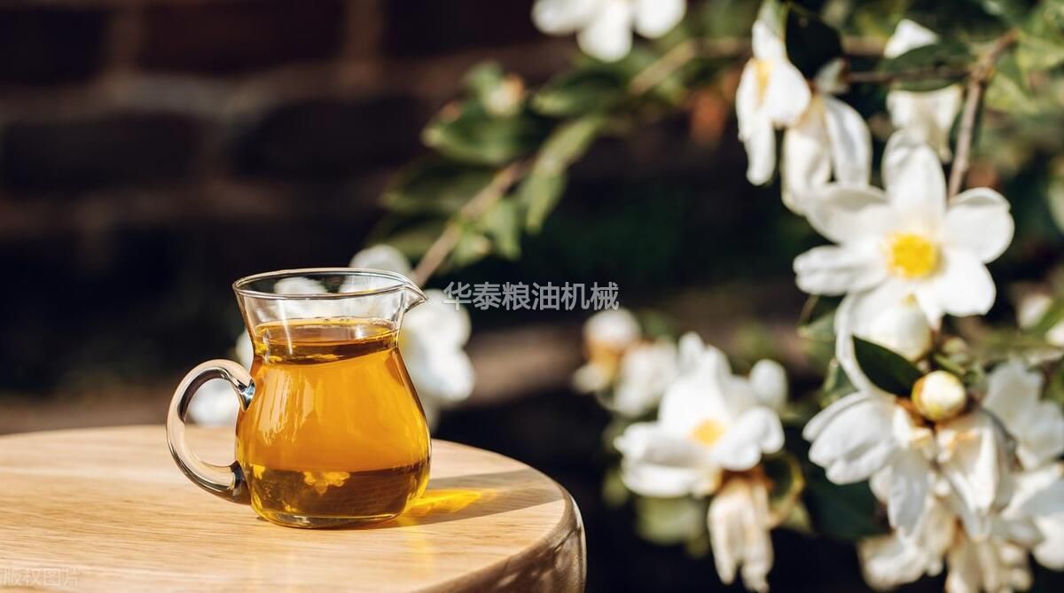 茶籽油提取加工，華泰糧油提供周到的生產方案